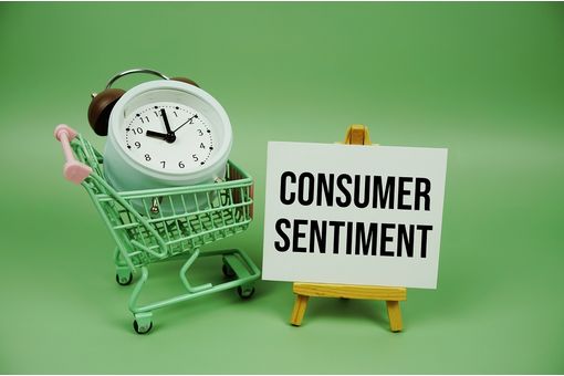 US consumer sentiment plunges to seven-month low in November