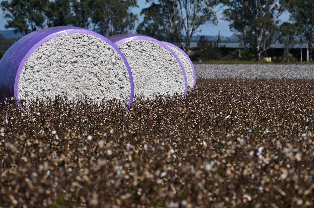 ICE cotton edges higher on US export outlook, trade deal optimism
