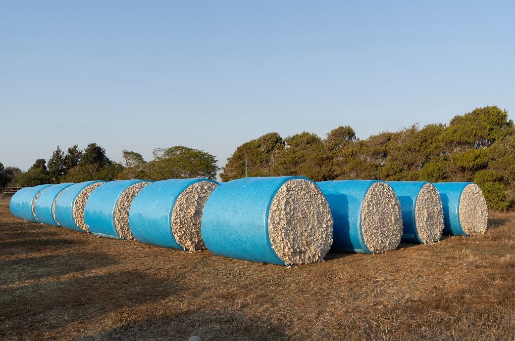 Global cotton production, trade & stocks rise in WASDE update