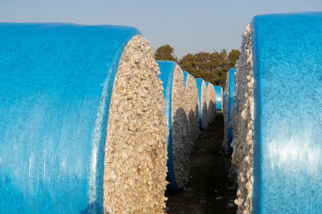 Global commodity prices to hit six-year low in 2026: World Bank