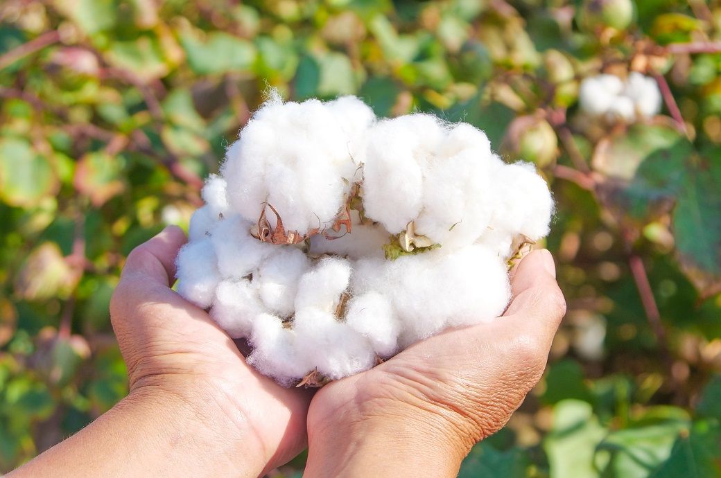 ICE cotton weakens on farmers' selling, but decline capped