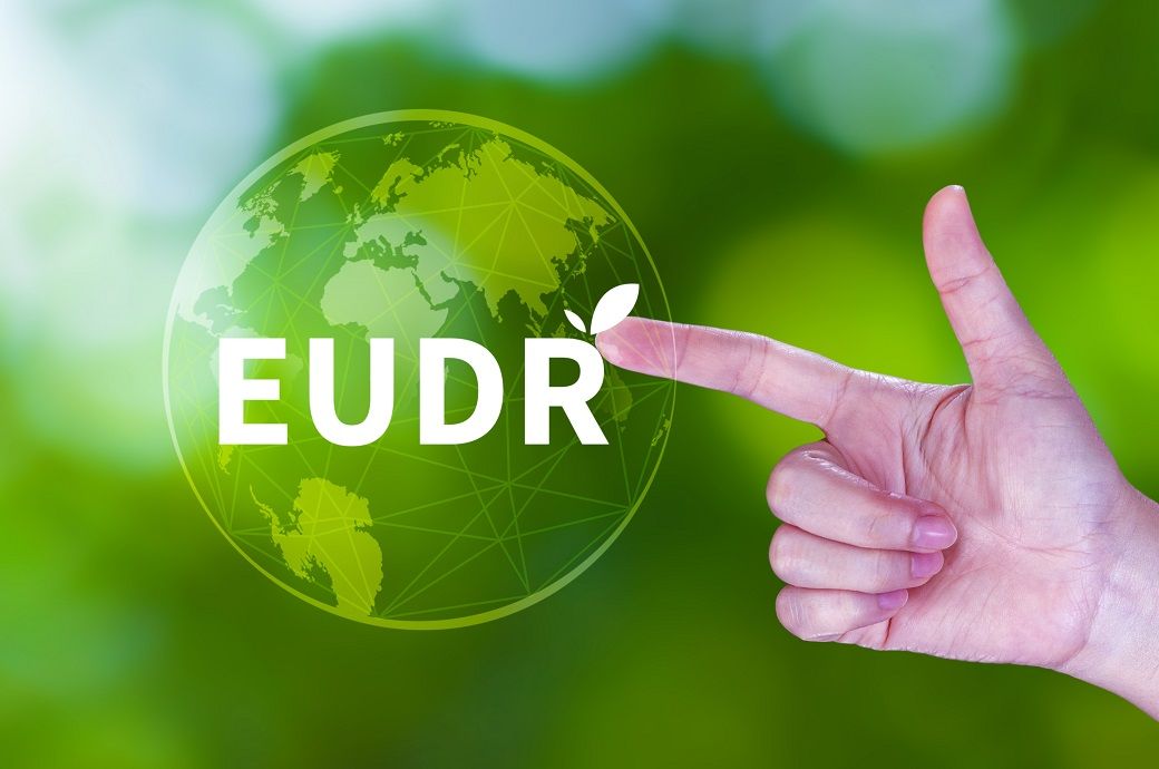 MEPs back simpler EU deforestation rules; grant extra transition year