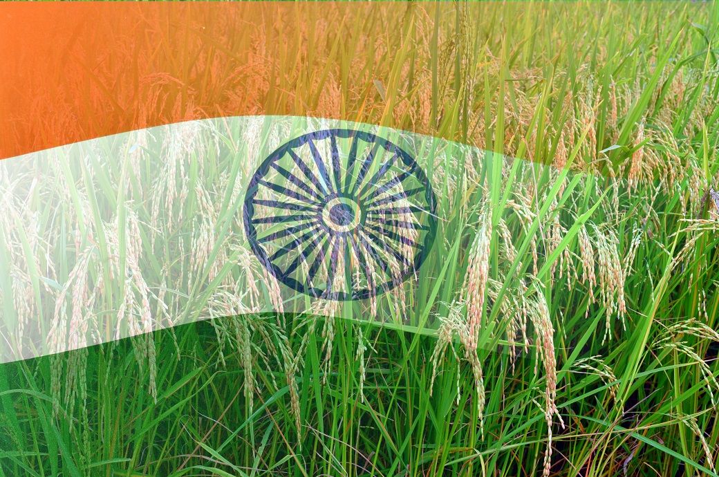  Indian agrochemical sector to grow 6–7% in FY26