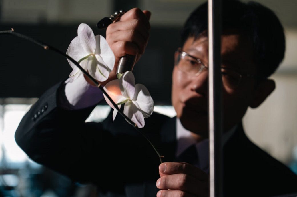  Taiwan’s NYCU team develops self-healing fabrics to cut textile waste