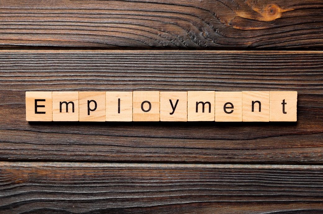 OECD employment rate steady at 70.3% in Q3