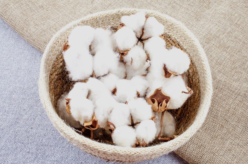 ICE cotton ends flat as weak US export sales offset softer dollar