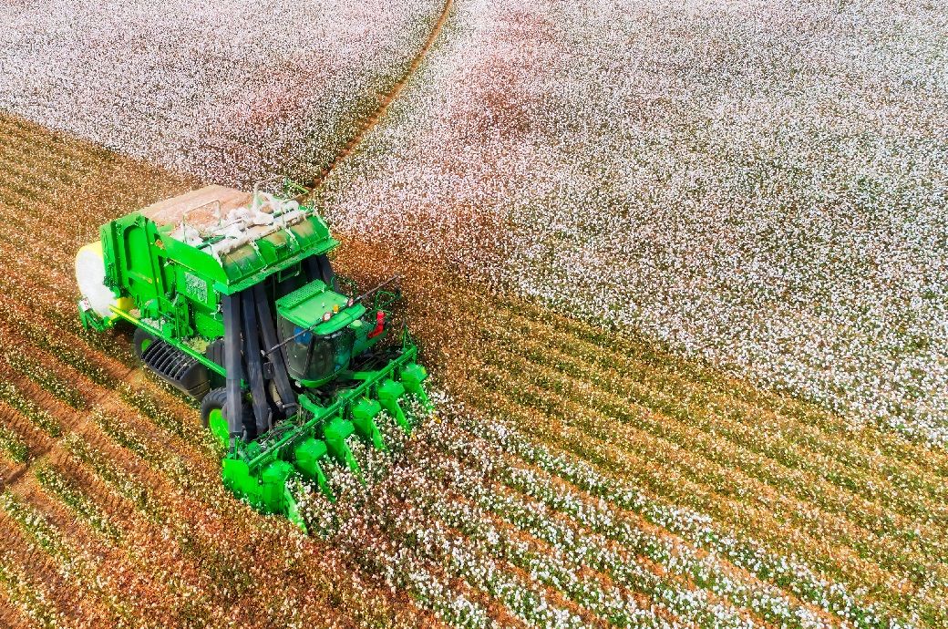 Brazil overtakes India as top cotton supplier to Bangladesh