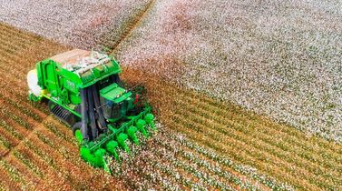 Brazil overtakes India as top cotton supplier to Bangladesh