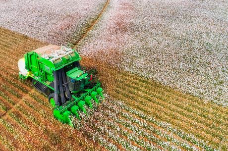 Brazil overtakes India as top cotton supplier to Bangladesh