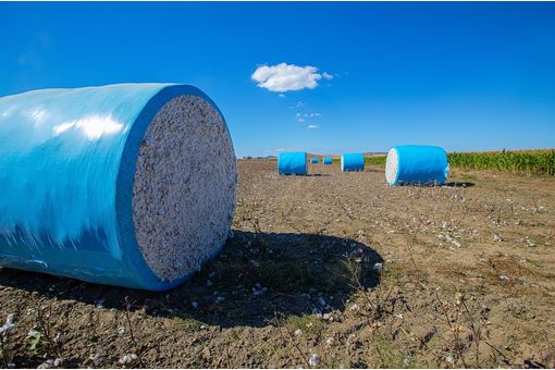 CAI seeks scrapping of India’s 11% cotton duty to protect industry