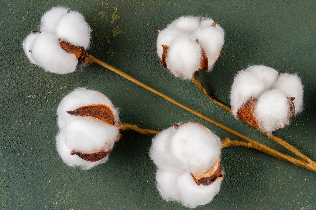 ICE cotton futures slide on weak US exports, rising supply pressure