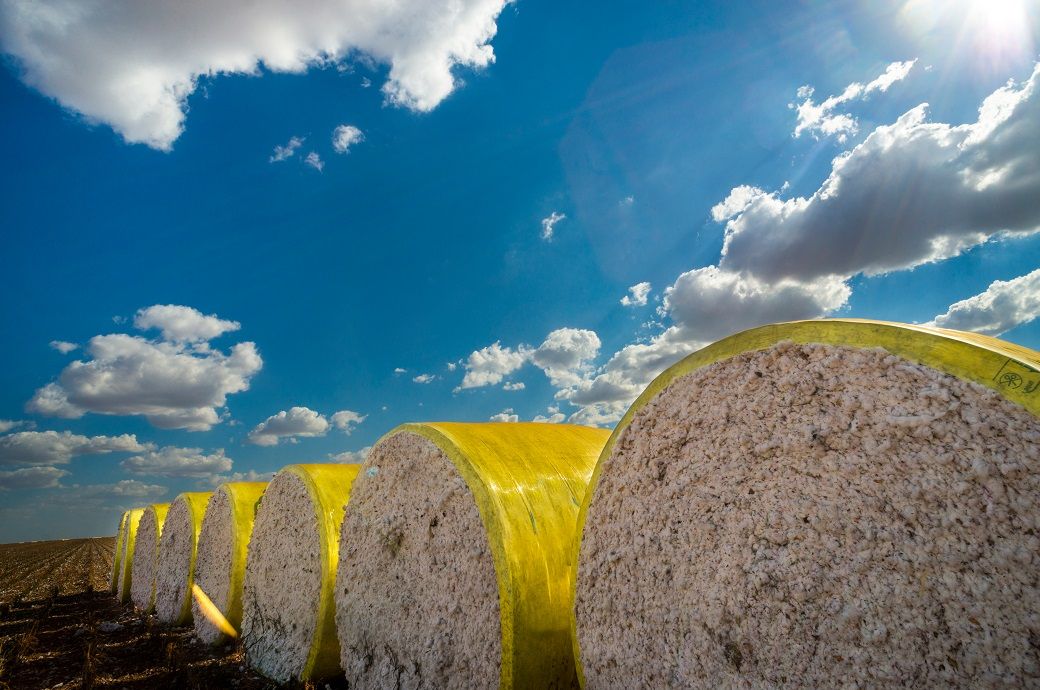US cotton export sales broadly supportive despite decline: USDA