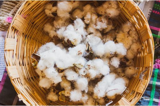 ICE cotton slips ahead of US export data, trades range-bound