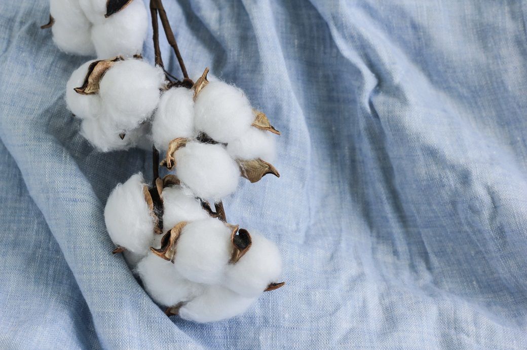 USDA WASDE signals softer cotton outlook, lower consumption