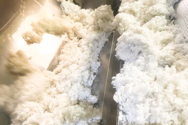 India’s polyester fibre, raw materials see price cuts after crude fall