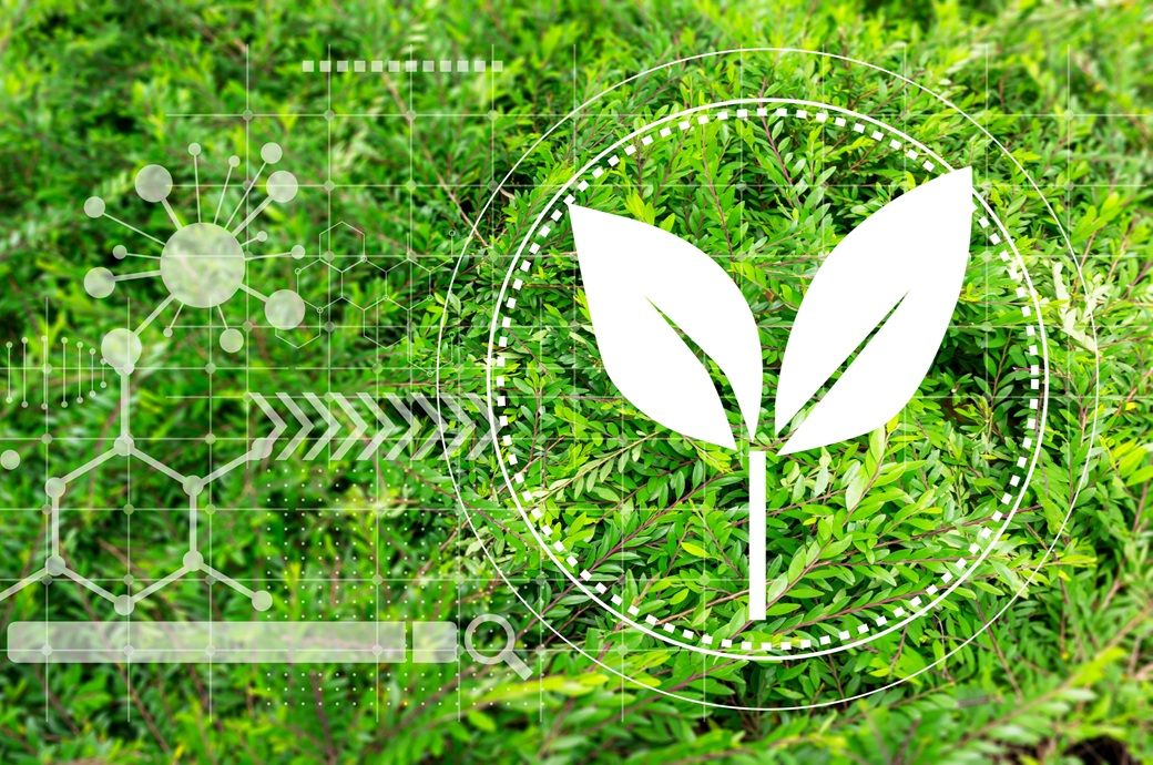 BASF launches biomass balance polyether polyols in North America