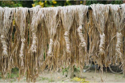 Bangladesh commerce minister seeks Chinese investment in jute sector