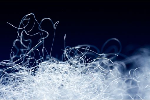 Polyester fibre, raw materials see sharpest single-day rise in India