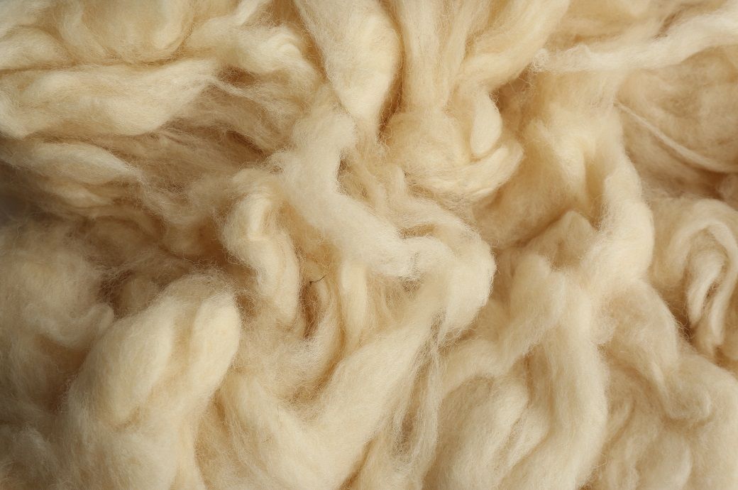Australian wool prices climb this week as cardings lead rally