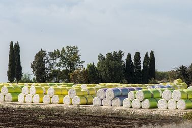 Australia’s cotton export value slips but volume rises in 2025