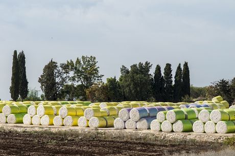 Australia’s cotton export value slips but volume rises in 2025