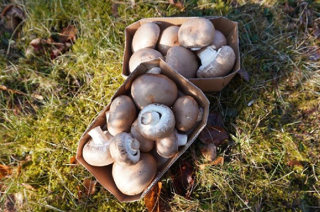 Hof University develops sustainable textile coating