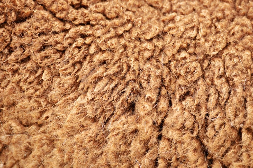 Australian wool prices decline this week as buyer caution ends rally ...