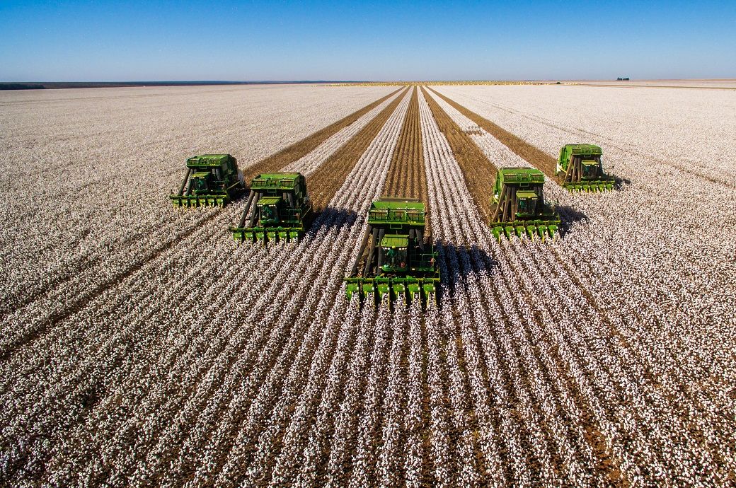 ICE cotton hits 11-month high on drought concerns, demand boost