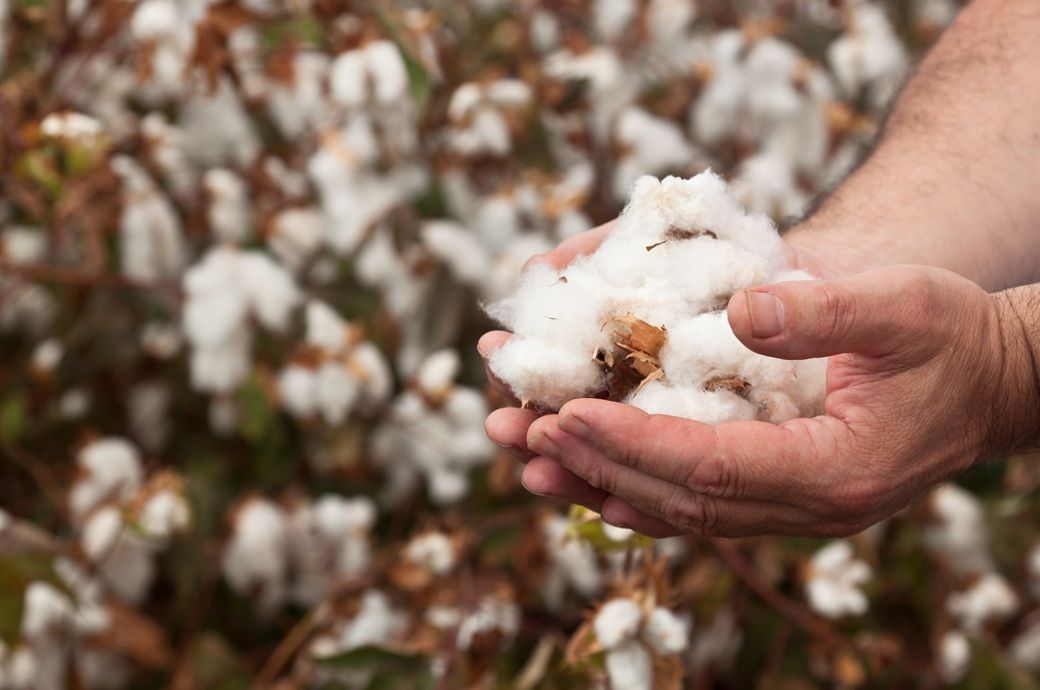 Burkina Faso fully nationalises leading cotton firm Sofitex