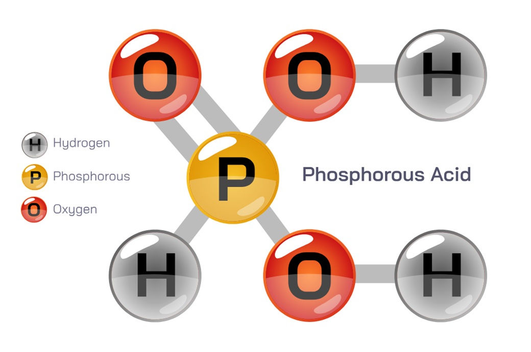  EU slaps anti-dumping duty on Chinese phosphorous acid
