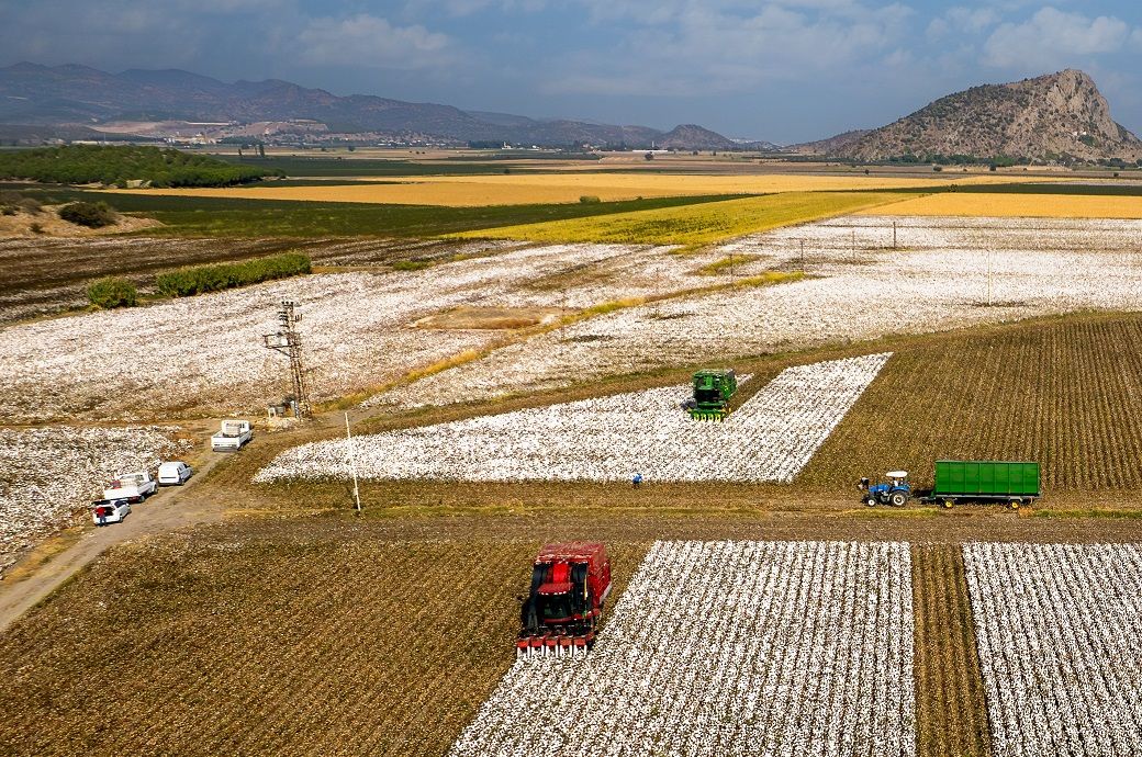 ICE cotton extends rally on strong buying interest