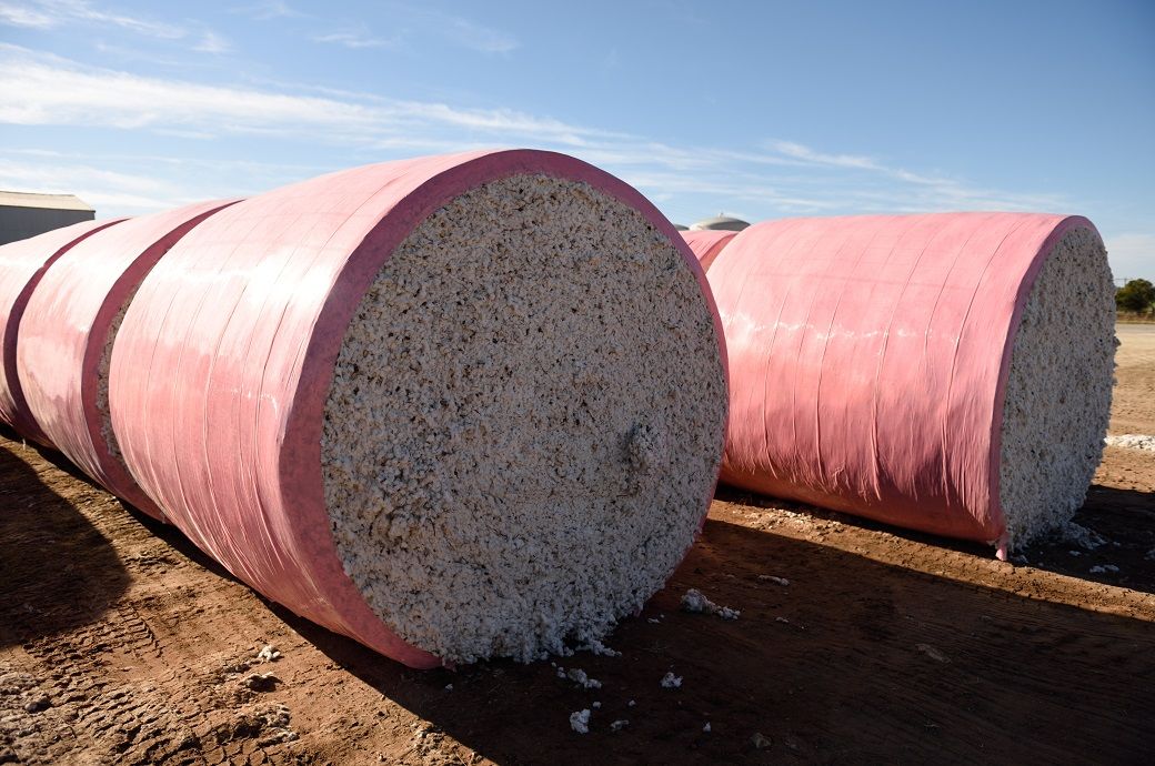 US Upland cotton exports edge up; Pima sales hit high: USDA