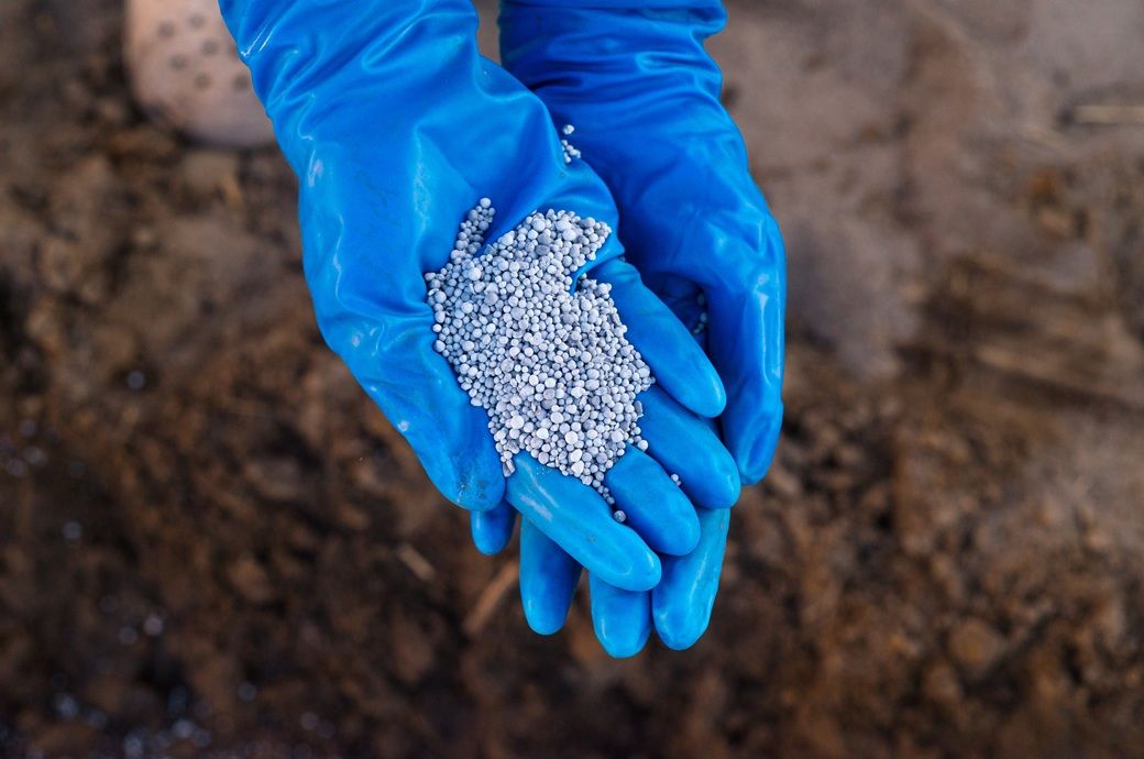 Indian Cabinet approves NBS rates for Kharif 2026 fertilisers