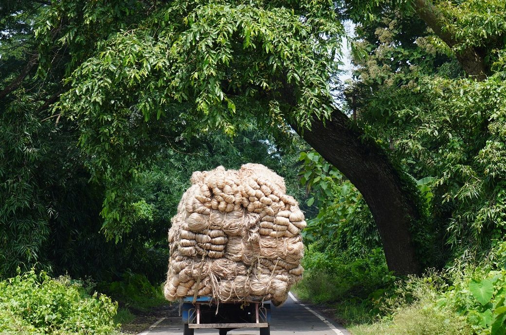 India cuts raw jute stock limits to zero, mandates liquidation by May