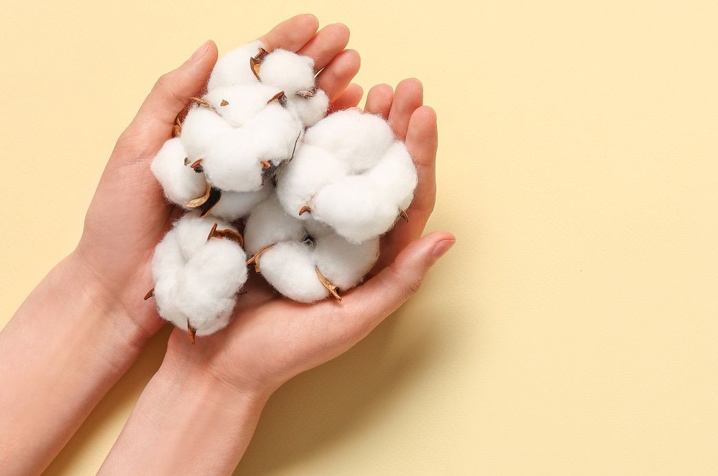 WASDE report projects higher global production, consumption