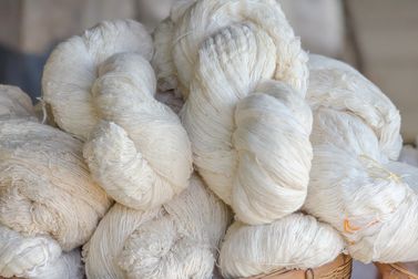 North India cotton yarn steady; Panipat recycled segment weakens