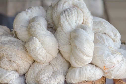 North India cotton yarn steady; Panipat recycled segment weakens