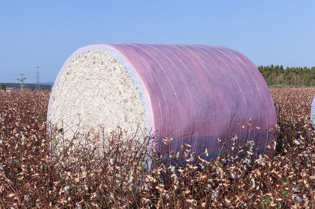 Brazil cotton export price falls to $1.54/kg in January-February