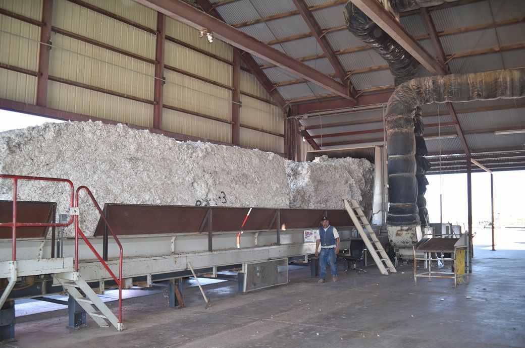 Gherzi-ICAC study flags cotton duty impact on Indian textile sector ...