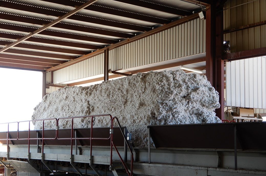 India’s cotton duty exemption brings relief, industry hails move