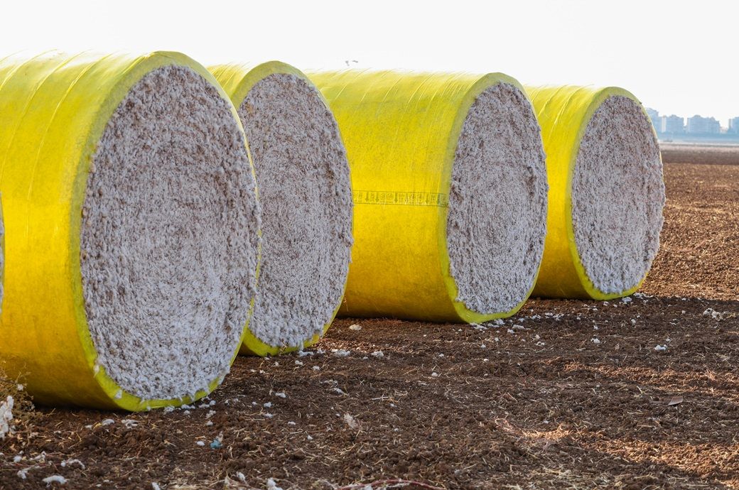 Strong Asian demand lifts US Upland cotton exports: USDA