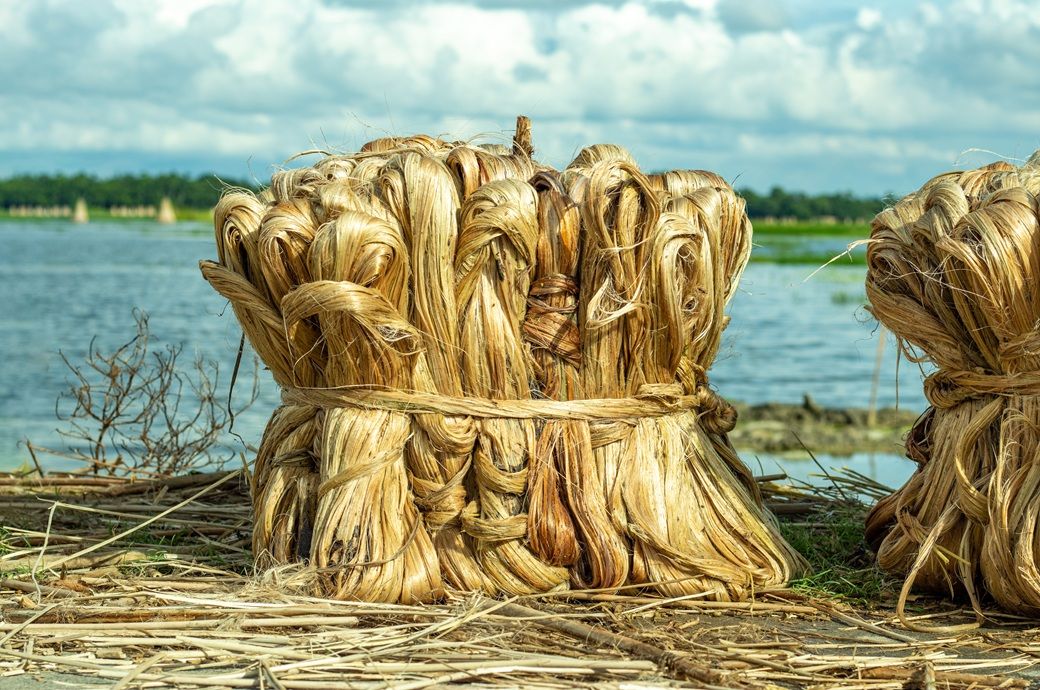 Bangladesh to transform jute sector into $5-$7-bn industry: Minister Bangladesh to transform jute sector into $5-$7-bn industry: Minister