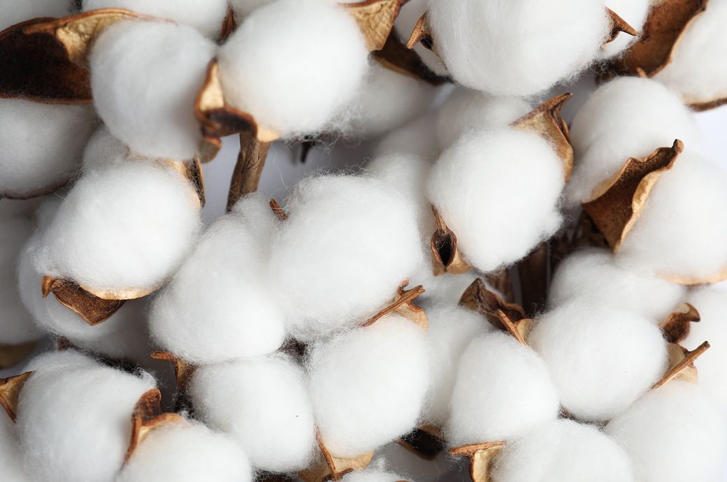 Global cotton trade to drop 2.7% in 2026-27: ICAC