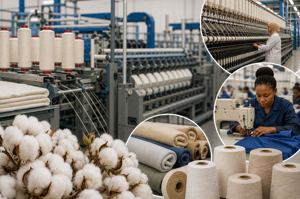 Cameroon’s CAMEF seeks Tunisia's help to develop cotton value chain