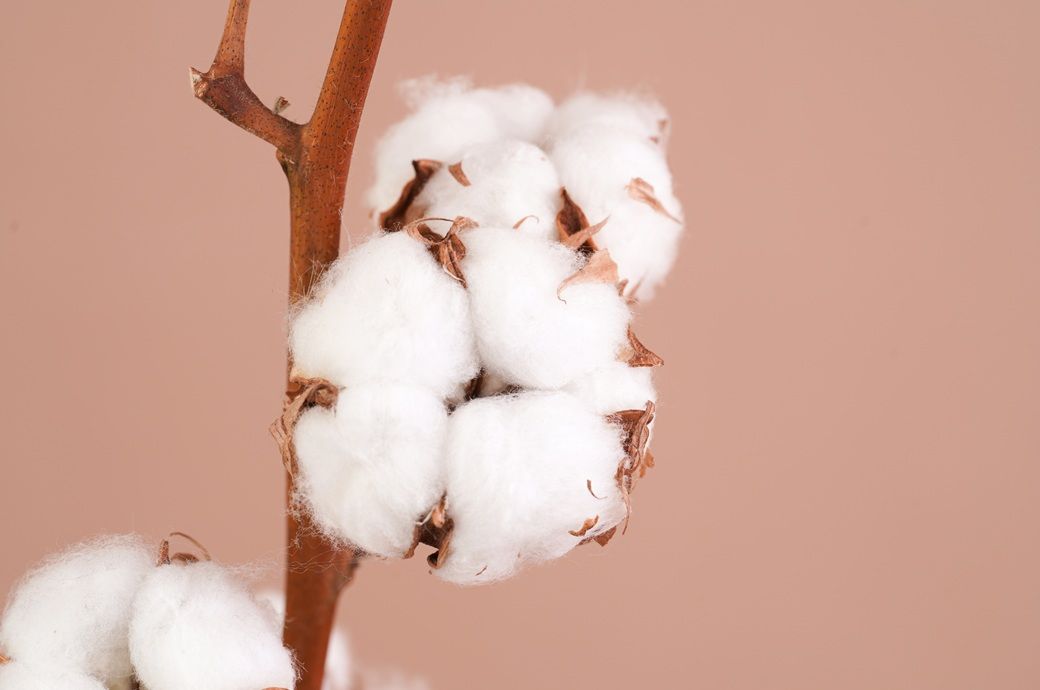 ICE cotton retreats on profit booking, weaker crude oil ICE cotton retreats on profit booking, weaker crude oil