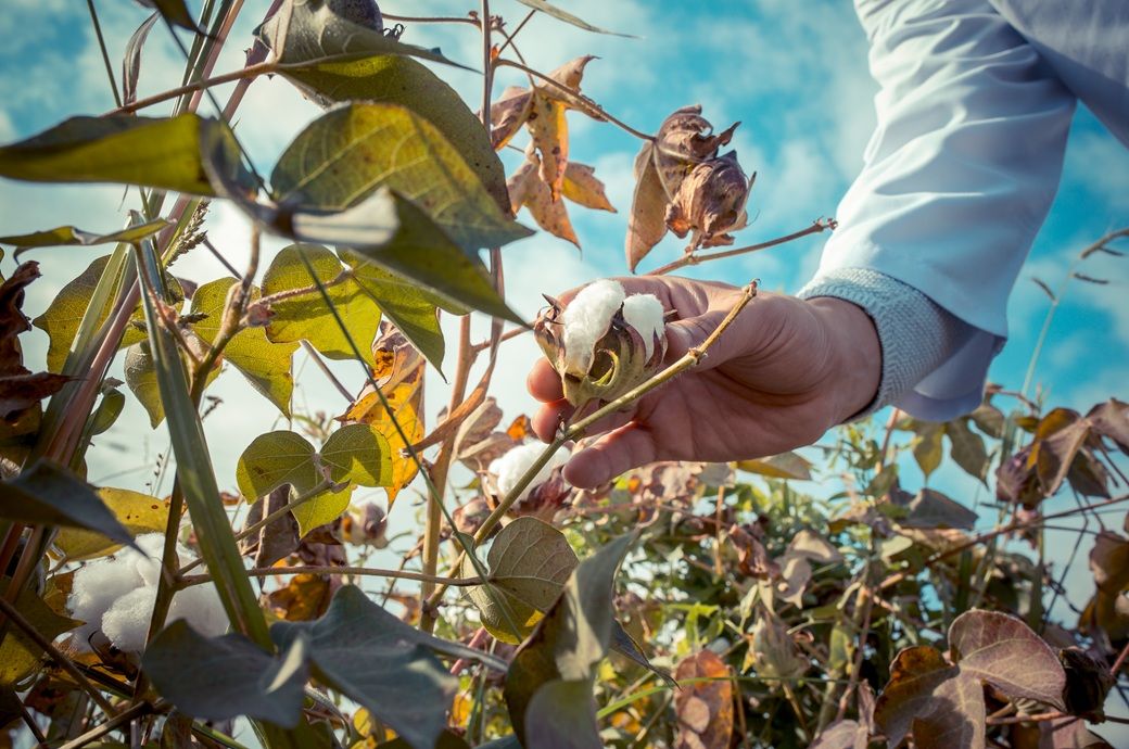 North India cotton yarn steady amid weak demand, cautious buying North India cotton yarn steady amid weak demand, cautious buying