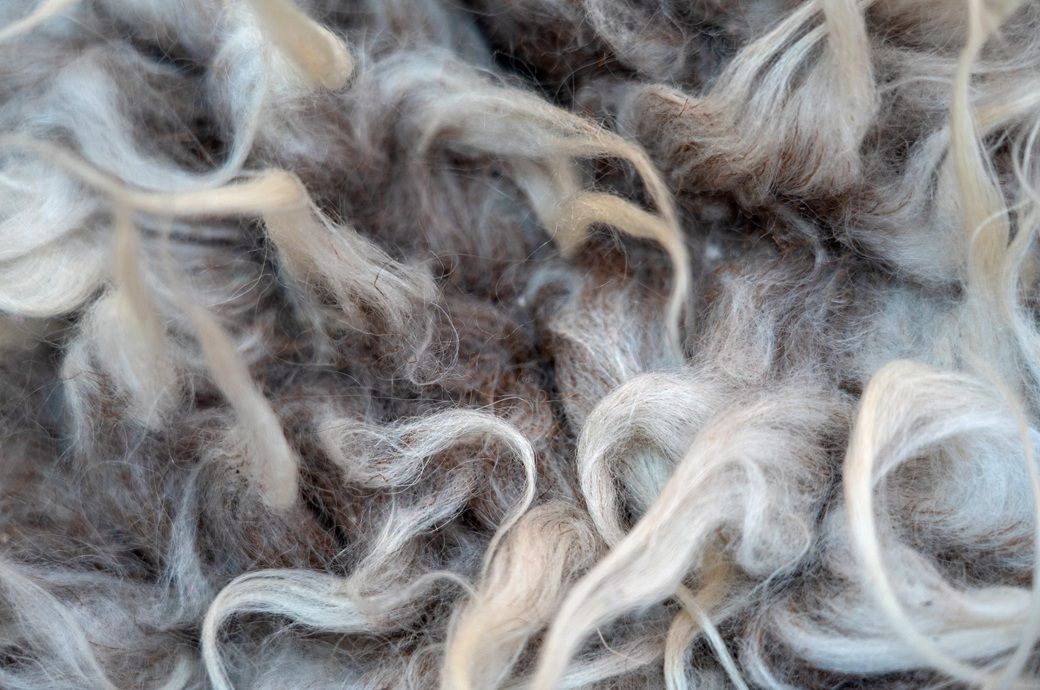 Australia’s wool prices fall as larger supply weighs on demand Australia’s wool prices fall as larger supply weighs on demand