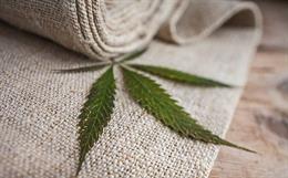 The Renaissance of Textile Hemp in Spain and Beyond