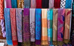Threads of Sustainability: A Comprehensive Study of Pashmina