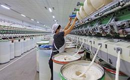 Textile Machinery: Adapting to Major Changes in China 